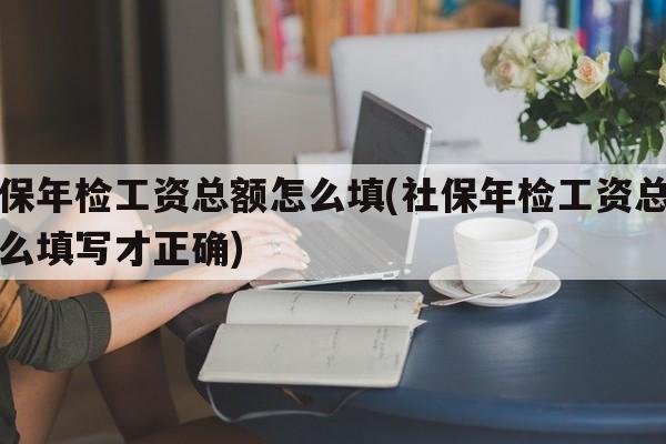 社保年检工资总额怎么填(社保年检工资总额怎么填写才正确)